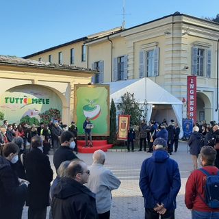 (Foto di repertorio)