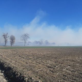 Fiamme spinte da vento e siccità corrono nei campi di mais di Cavour