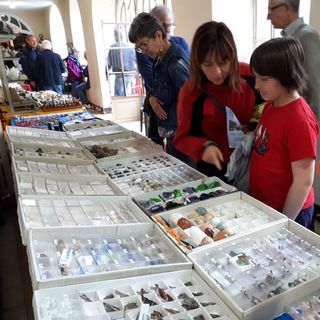 (Foto di repertorio)