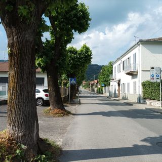 I tigli di via Gianavello a Luserna San Giovanni