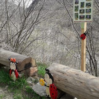 Scorci del nuovo sentiero