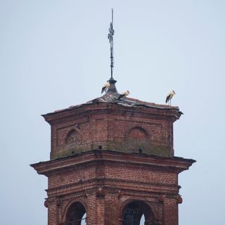 Il campanile di Osasco