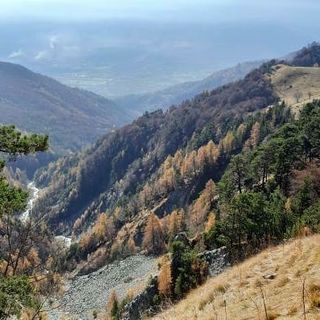 Legambiente Piemonte e Valle d’Aosta e Parco Alpi Cozie ‘duellano’ su ricerca e tutela del lupo