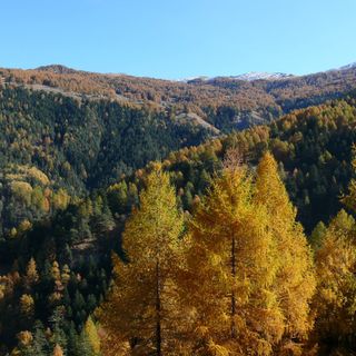 Parchi Alpi Cozie