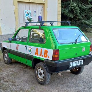 La nuova panda dell'Aib di Perosa Argentina