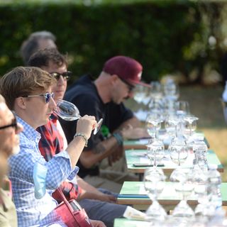 I vini di montagna si assaggiano e si raccontano a Perosa Argentina e Pomaretto