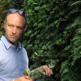 Flavio Pollano