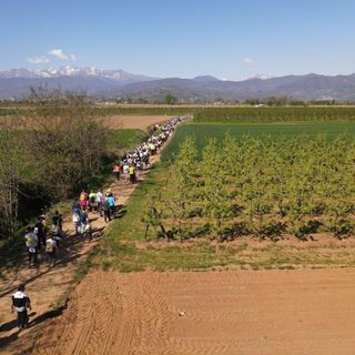 La Lions Walk porterà 6.500 euro al Regina Margherita e all’Agnelli