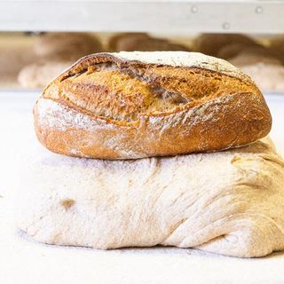 Pane Evoluzione di Pan Bianch Pinerolo