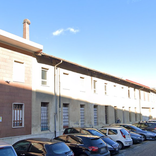 Cicogne sulla ciminiera a Pinerolo: “Non ‘sfrattatele’ per un supermercato”