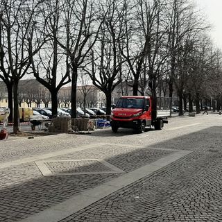 Il Comune di Pinerolo cura le piante di piazza Vittorio Veneto che “faticano a respirare”