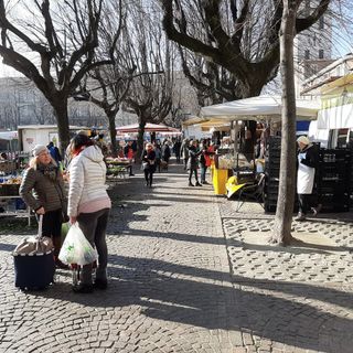 Foto di repertorio