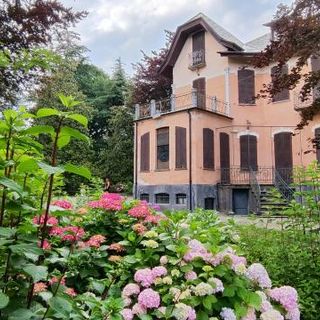Le ortensie a Villa Prever a Pinerolo