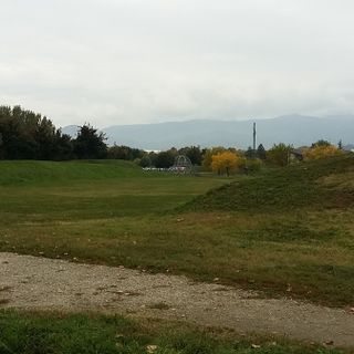 Cani liberi al Parco Olimpico di Pinerolo? &quot;Presto verrà realizzata l’area sgambamento&quot;