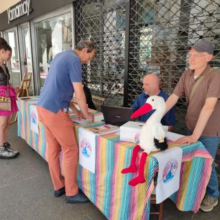 La raccolta firme per le cicogne (foto di Cinzia Consolati)
