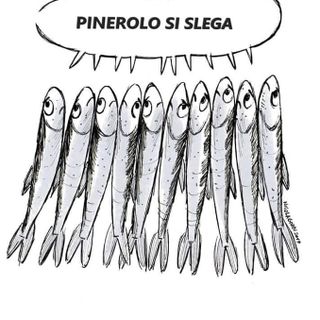 Anche “Pinerolo si slega”: domani le sardine in piazza Facta