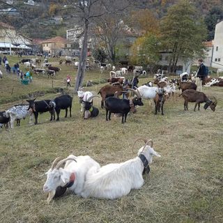 (Foto di repertorio)