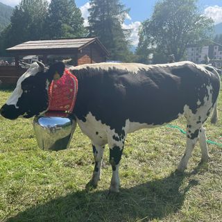 Regina, la prima Miss Manza