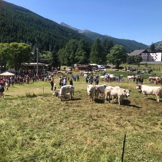 (Foto di repertorio)