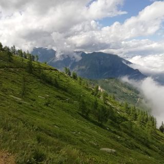 I disegni di Terracini e il racconto del figlio nato grazie al silenzio dei rorenghi