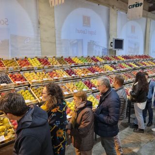 (Foto di repertorio)