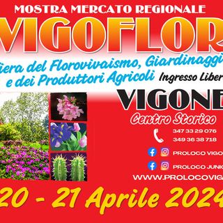 Sabato e domenica a Vigone fioriscono anche i cappelli