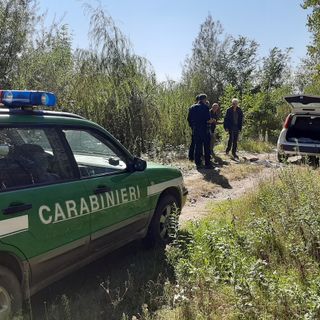 Cane “giustiziato” a Vigone con un fucile nei boschi di Santa Maria (FOTO)