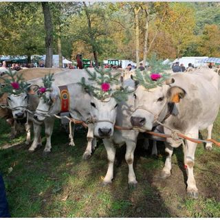 Fiera d'autunno a Villar Pellice