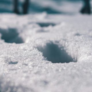 È previsto rischio forte di valanghe a Pasqua e Pasquetta in alta Val Pellice