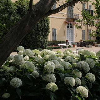 Il Torrione by R Castrini