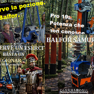 Balfor srl di Manta: la potenza a cui nessun tronco può resistere