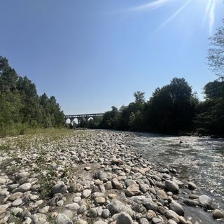 Il fiume Stura, ( foto scattate a fine giugno a Cuneo, zona delle Basse Sant'Anna)