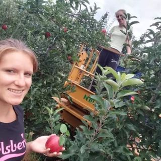 Dalle pendici del Monviso, frutta e ortaggi coltivati con il metodo della lotta integrata, consegnati direttamente a casa