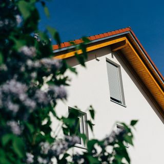 tetto di una casa che sbuca tra gli alberi