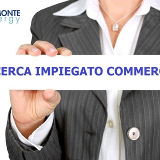 Piemonte Energy ricerca un impiegato commerciale