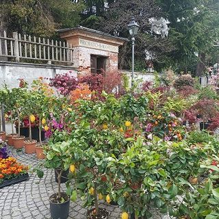 Fiori &amp; Sapori rinuncia alla Mangia e Cammina ma continua a far festa