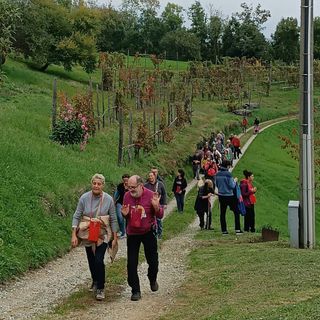 (Foto di repertorio)