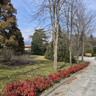 Uno scorcio del parco di Villa Widemann