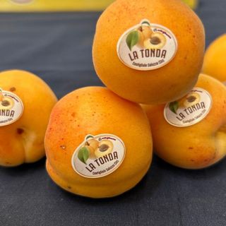 Fantasia di Tonda: domenica 13 luglio il Concorso di dolci che celebrano la Tonda  di Costigliole Saluzzo