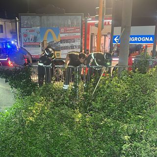 I vigili del fuoco recuperano il gattino