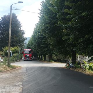 Luserna San Giovanni: per difendere i tigli alcuni cittadini ricorrono a un avvocato