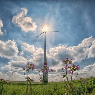 Immagine generica d'archivio