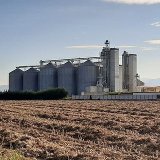 azienda agricola mais