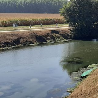 Fiera, musica, cucina tipica e altro ancora... tutto il programma della Sagra dei Pescatori di Villafranca Piemonte