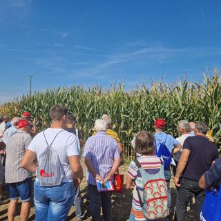 (Foto di repertorio)