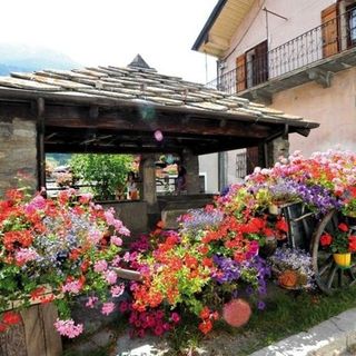 Scorcio di paese ricco di fiori