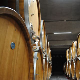 Alla cantina Terre del Barolo un ricco autunno tra vendemmia, fine lavori nei nuovi locali e la novità dello spumante metodo Classico Extra Brut Blanc De Blancs