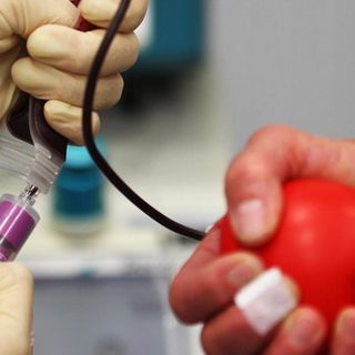 donazione di sangue
