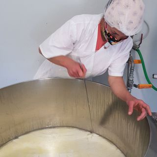 Un viaggio nel mondo del formaggio di capra, dove il rispetto per l’ambiente e per gli animali sposa tradizione e innovazione
