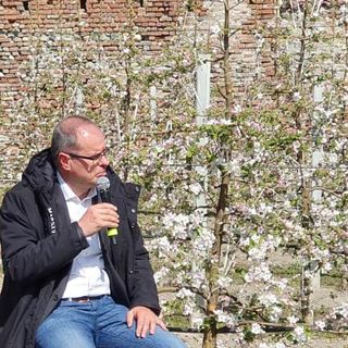 Franco Ramello